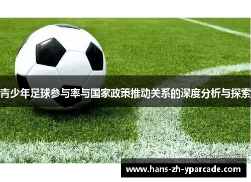 青少年足球参与率与国家政策推动关系的深度分析与探索